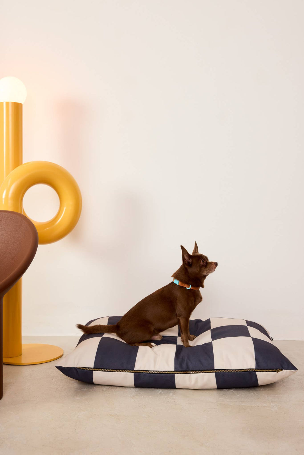 Miért elengedhetetlen a mosható kutyafekhely a lakásban?