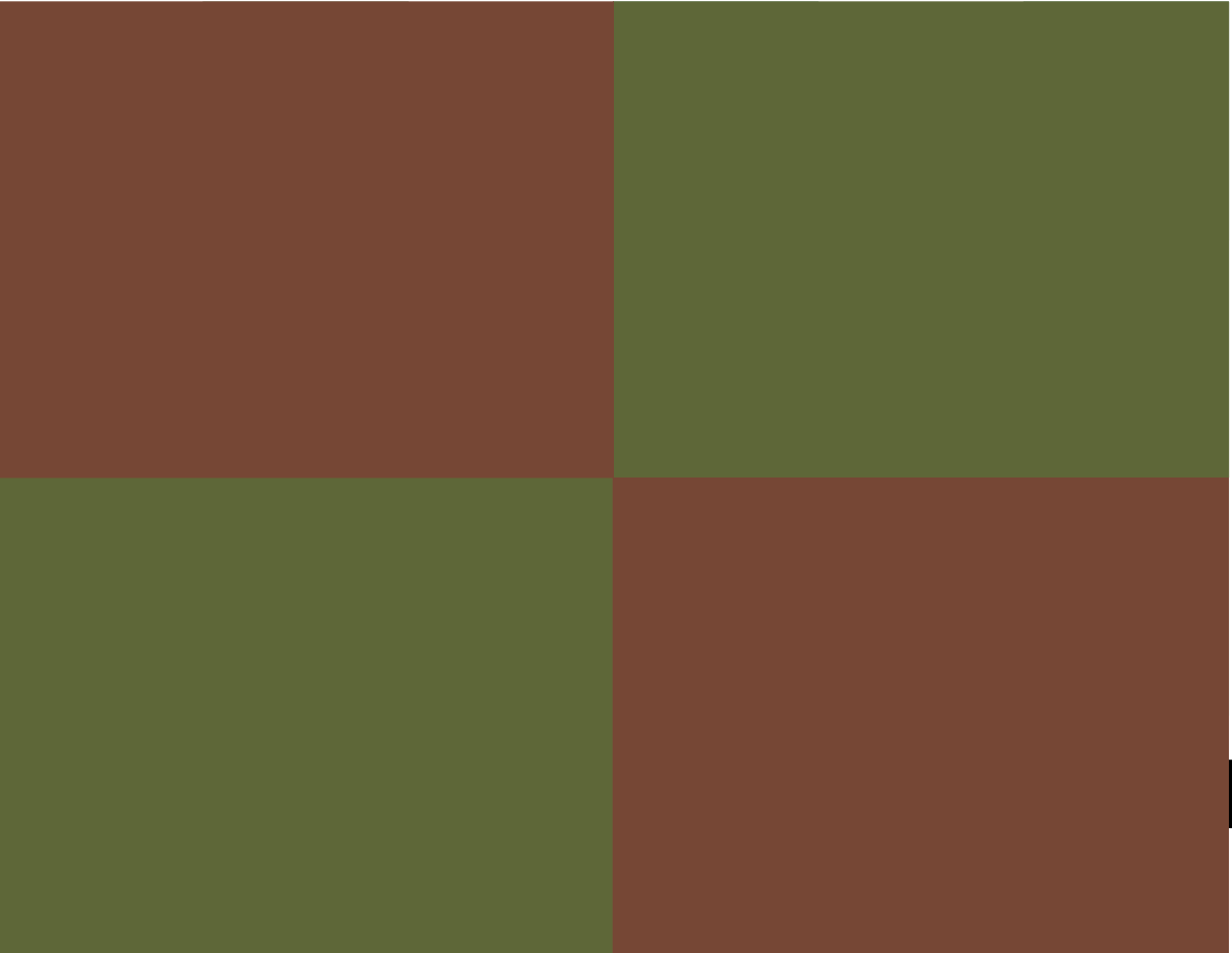 Fritz huzat | Green Checkered