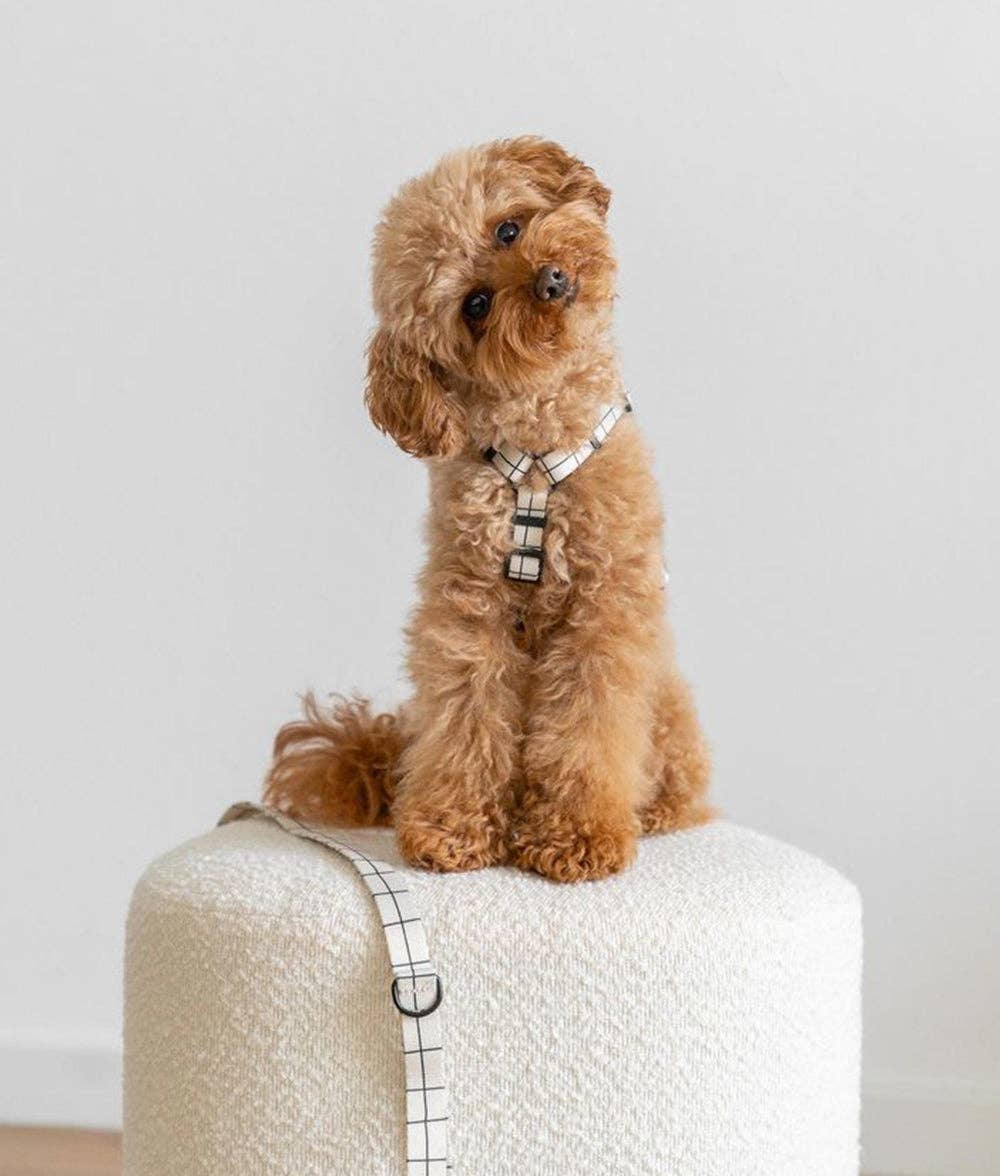 Juno hám | Bézs vonal mintás