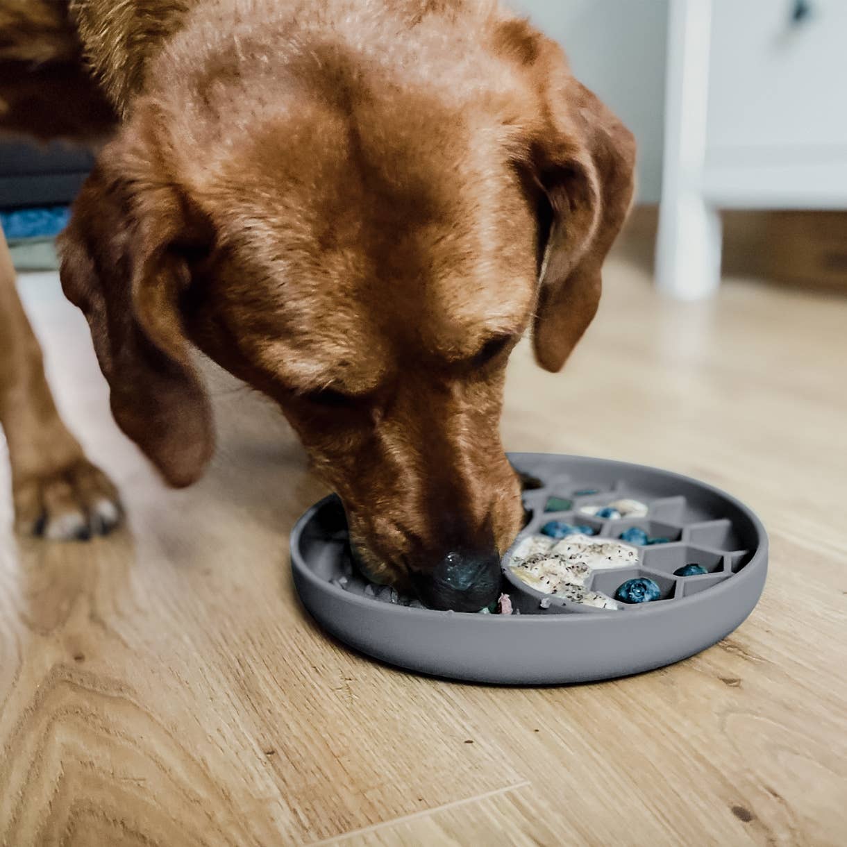 Habzsolásgátló és nyalogató tál