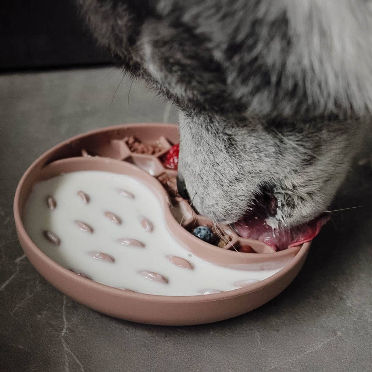 Habzsolásgátló és nyalogató tál