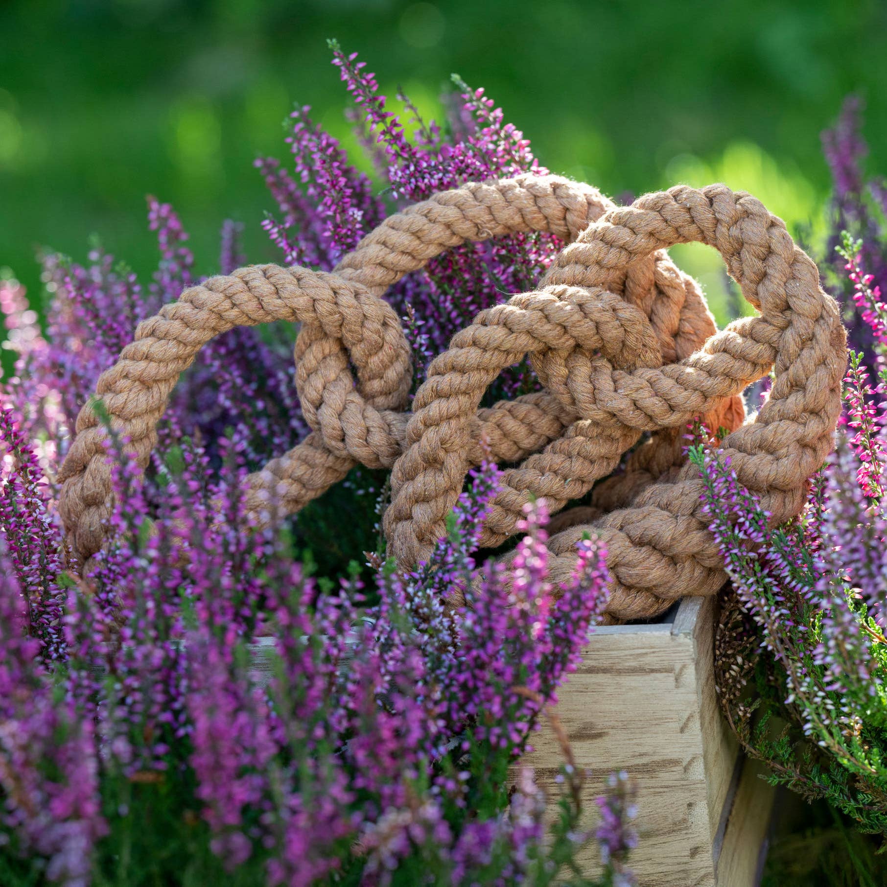 Britta perec kutyajáték