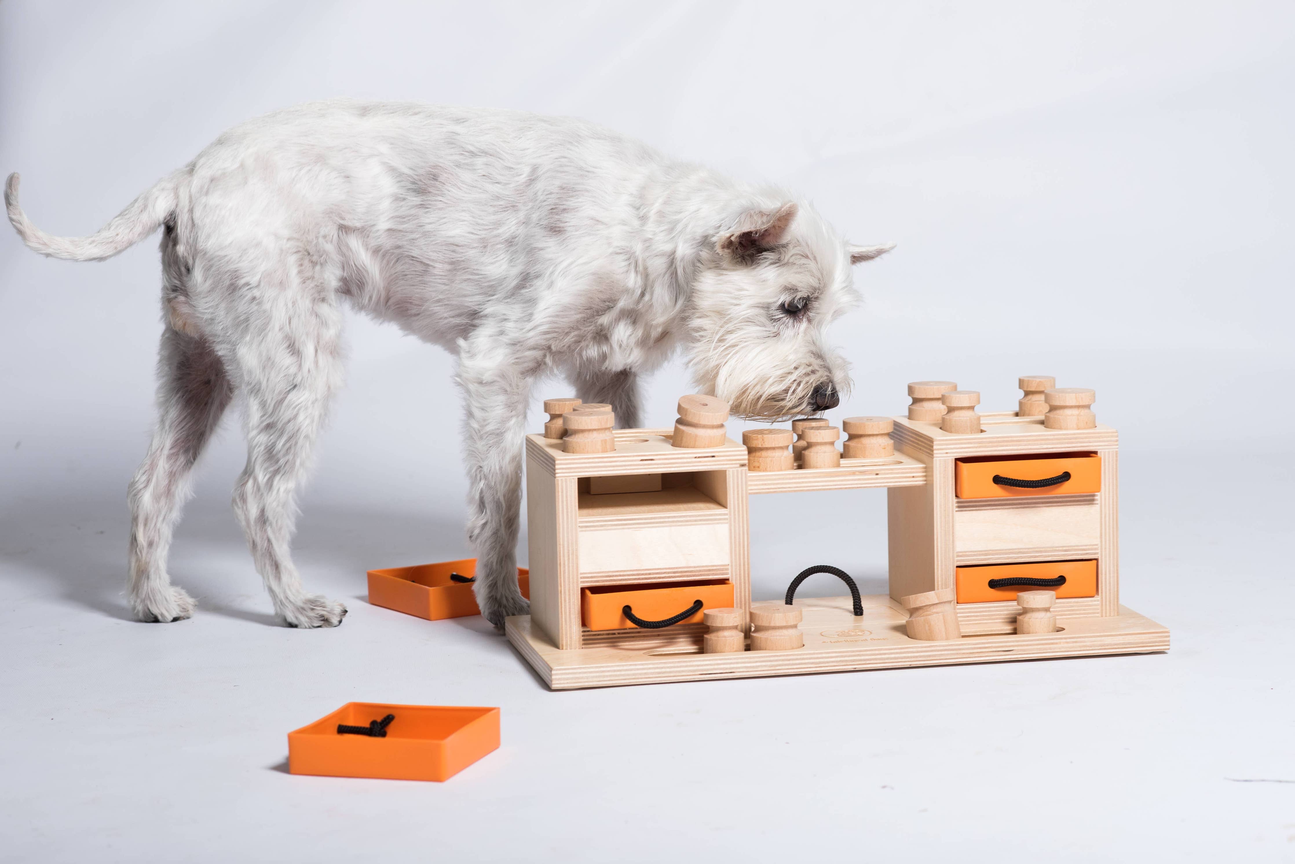 Two Towers – interaktív intelligens játék kutyáknak