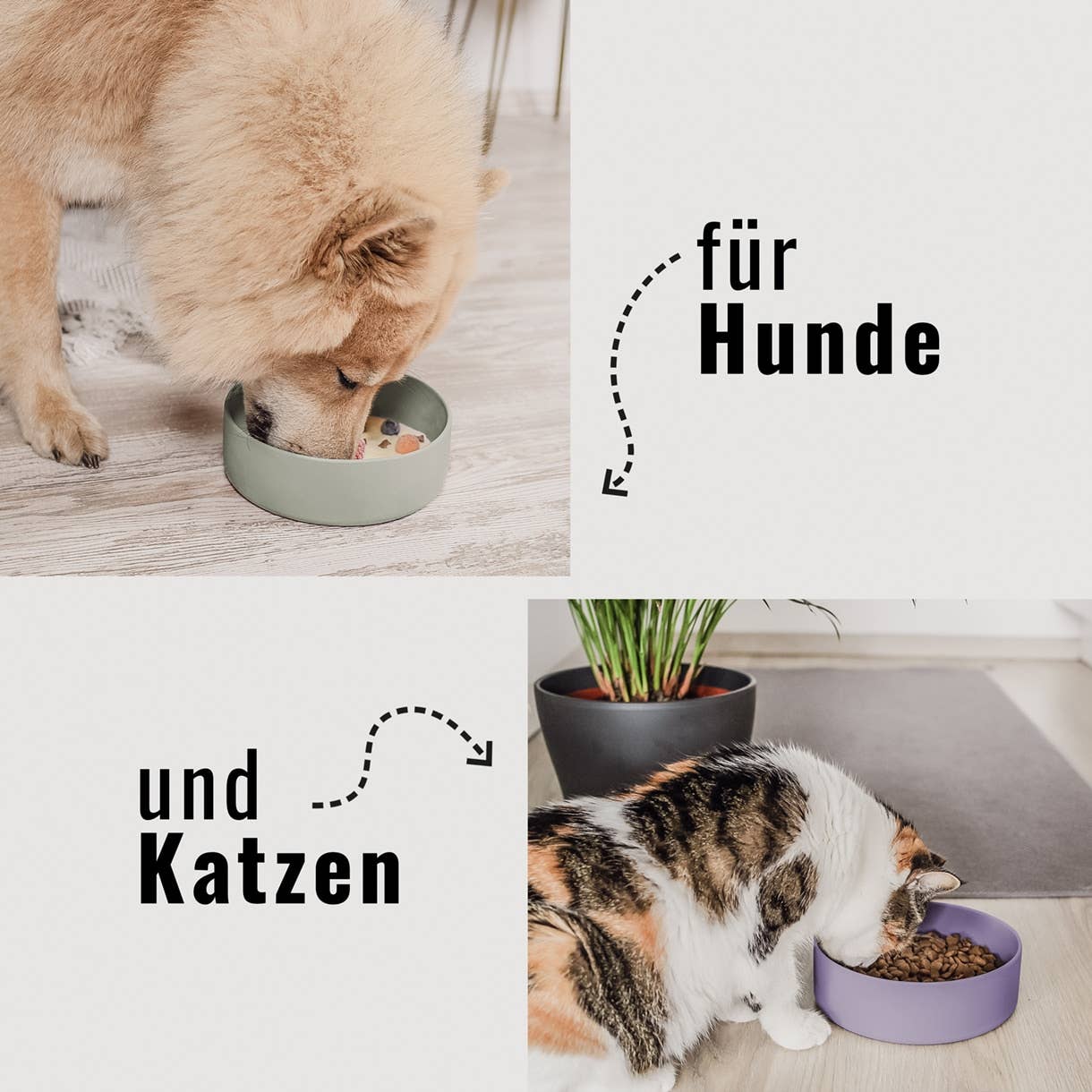 Csúszásmentes szilikon etetőtál kutyáknak és macskáknak