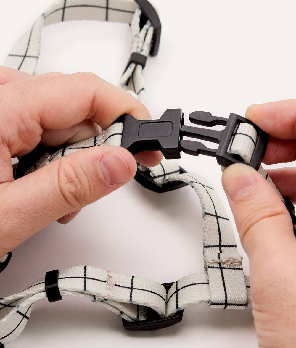 Juno hám | Bézs vonal mintás