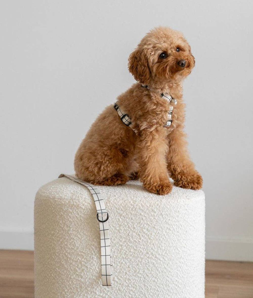 Juno hám | Bézs vonal mintás