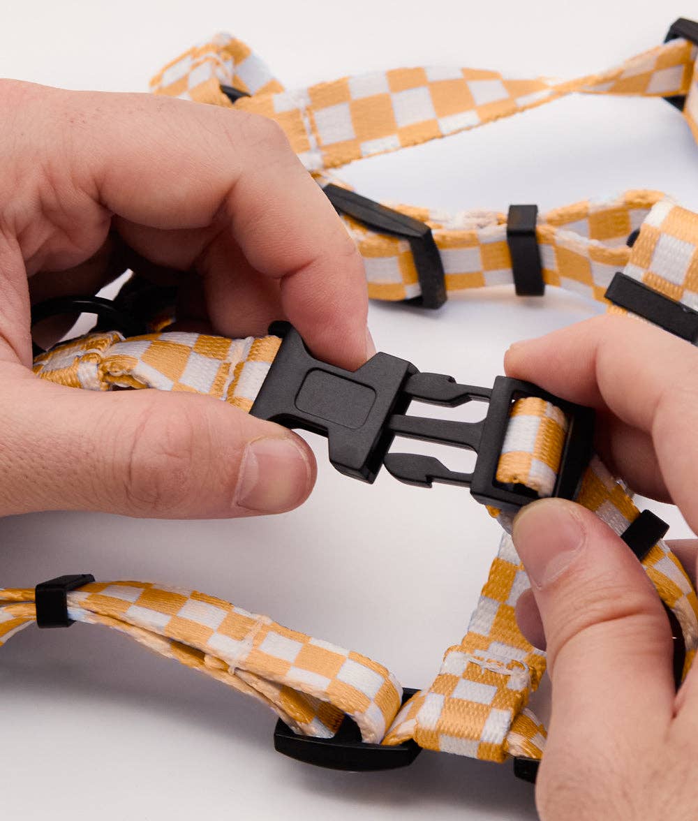 Juno hám | Barack narancs