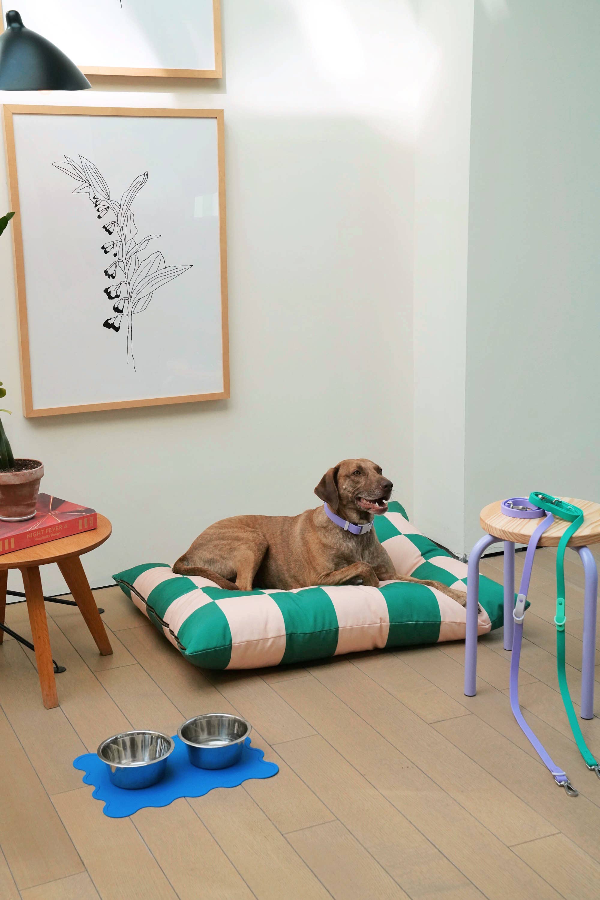 Fritz huzat | Black & White Goalgetter