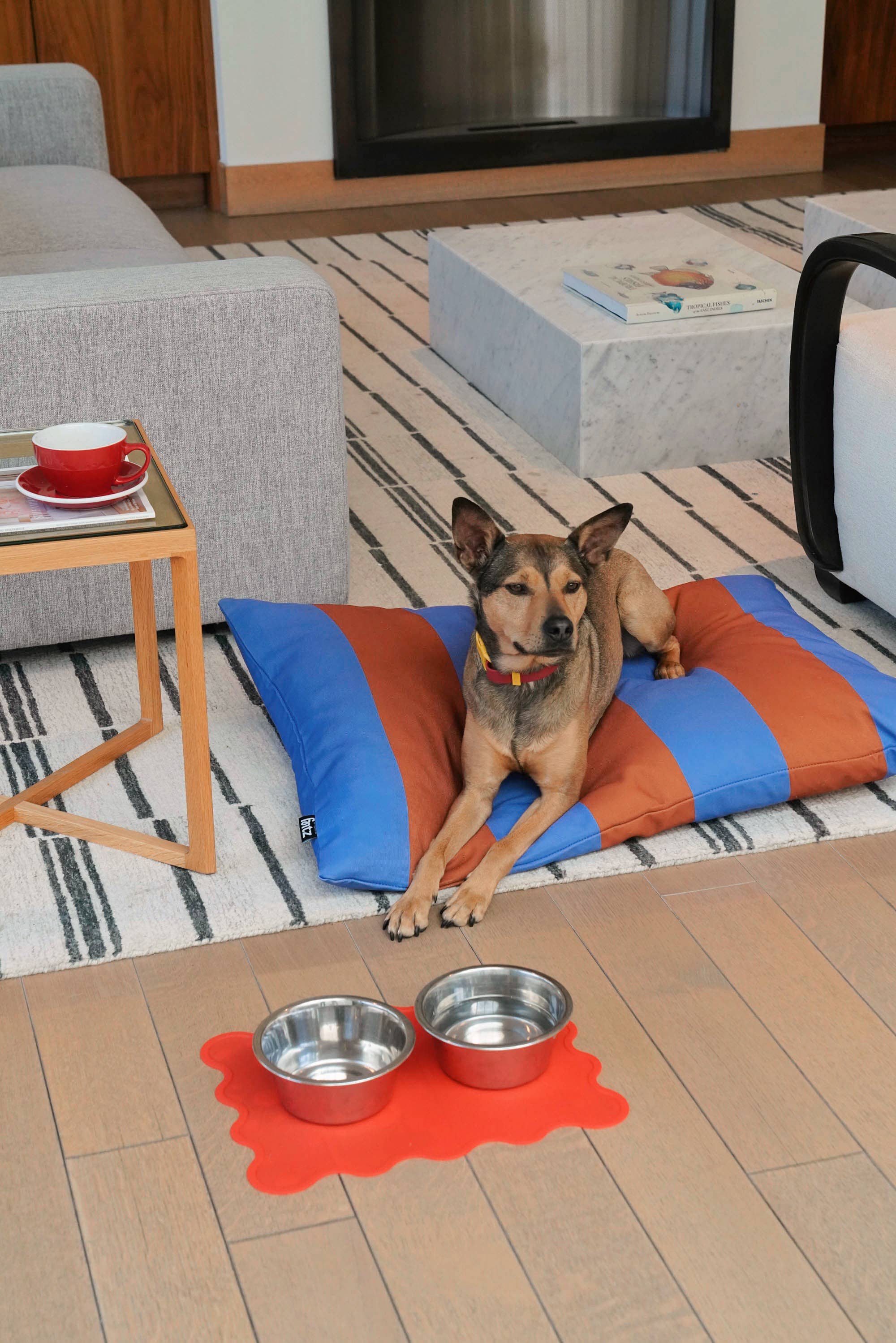 Fritz etetőalátét | Orange Zest