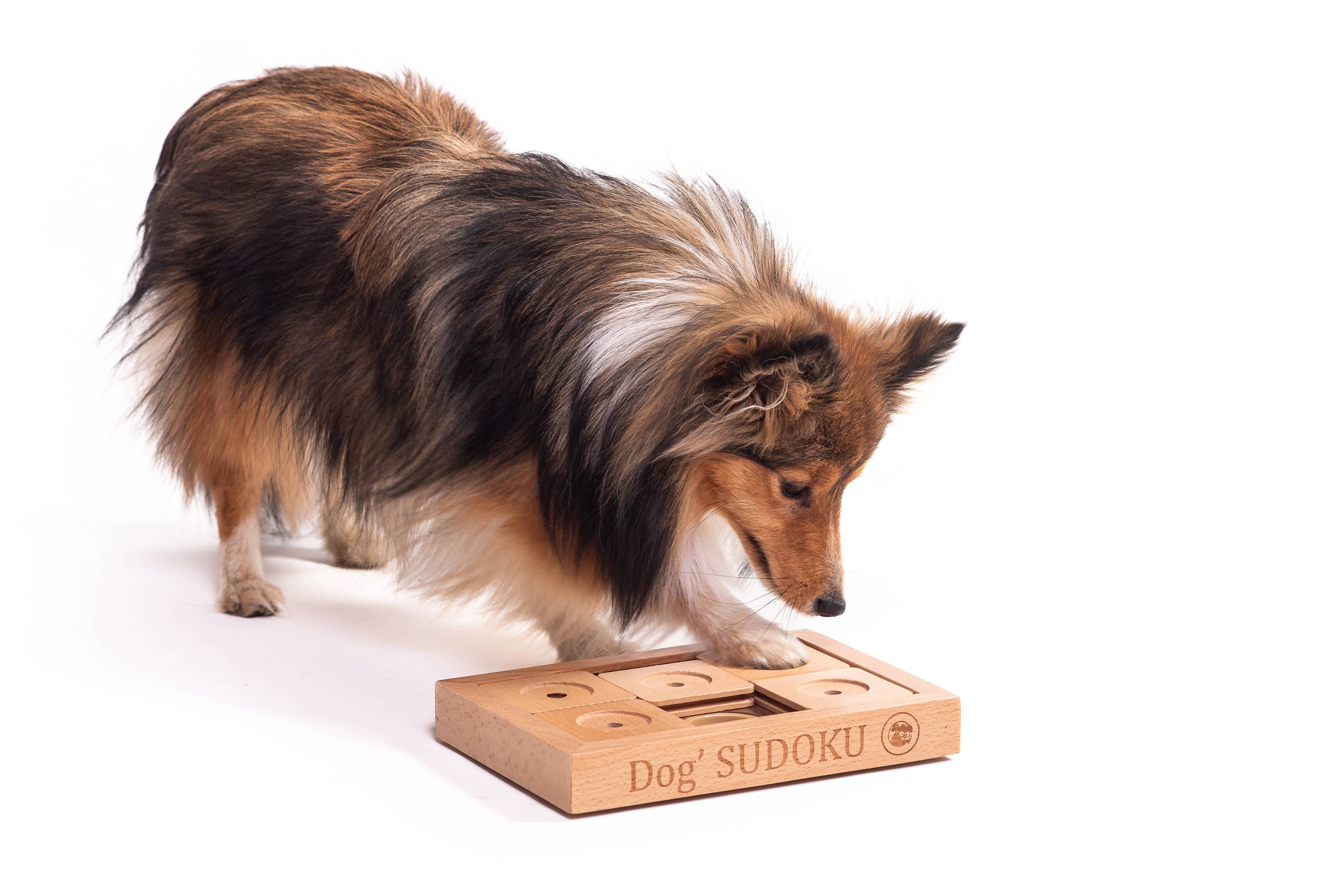 Sudoku Small Advanced – interaktív fa logikai játék kutyáknak és macskáknak