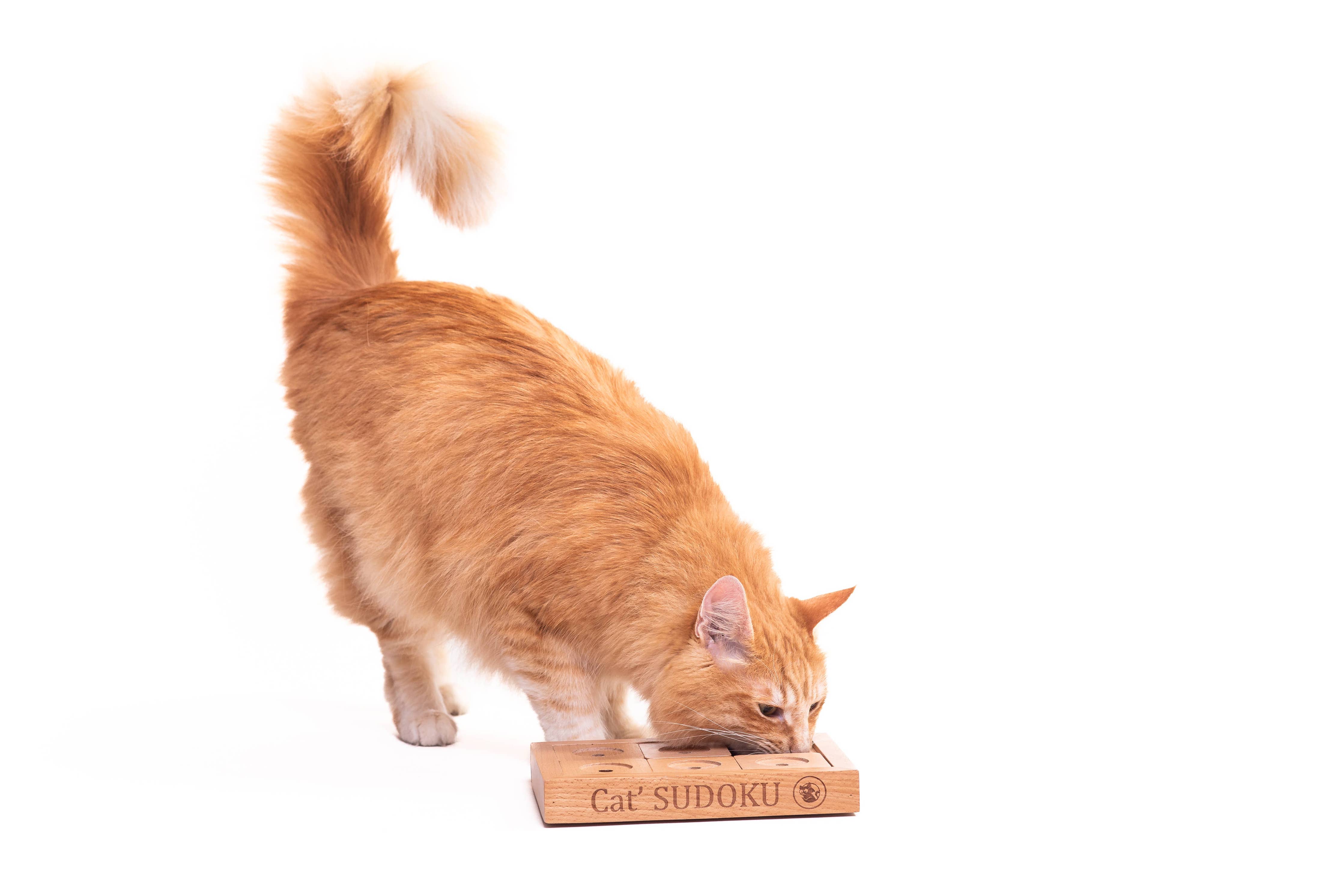 Sudoku Small Advanced – interaktív fa logikai játék kutyáknak és macskáknak