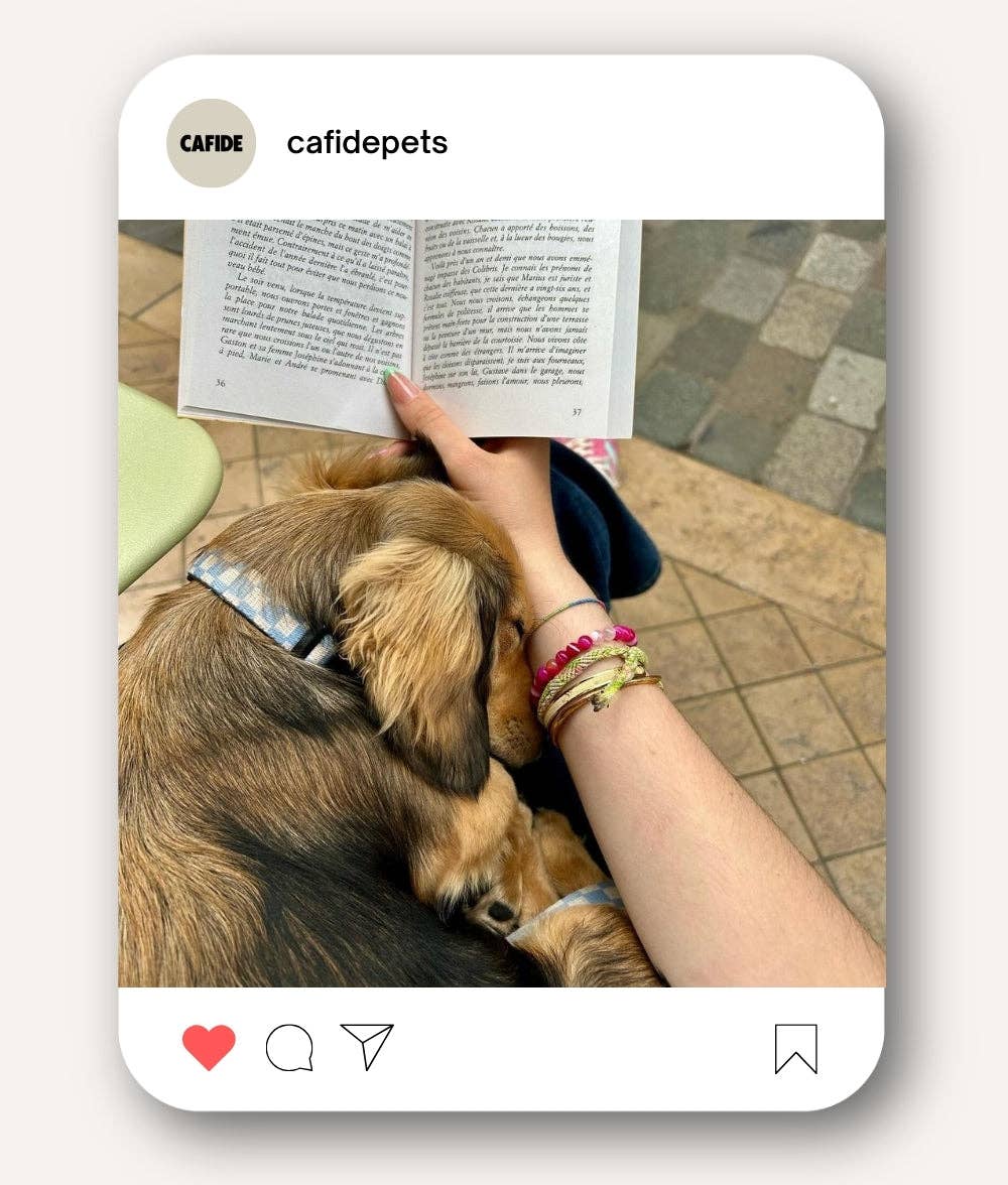 Juno nyakörv | Kék kockás