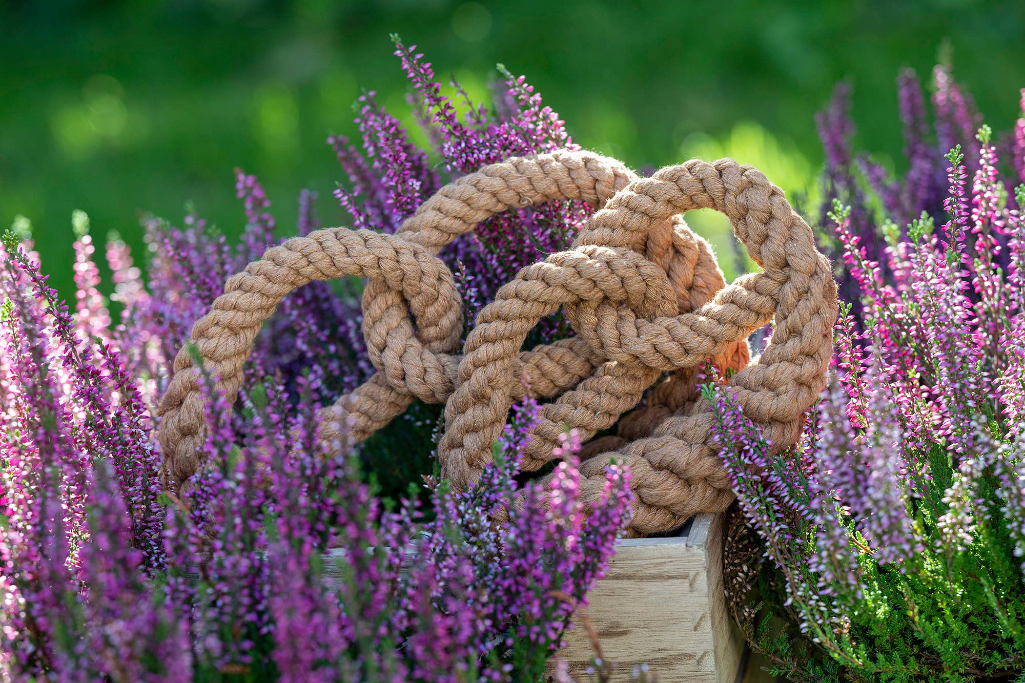 Britta perec kutyajáték