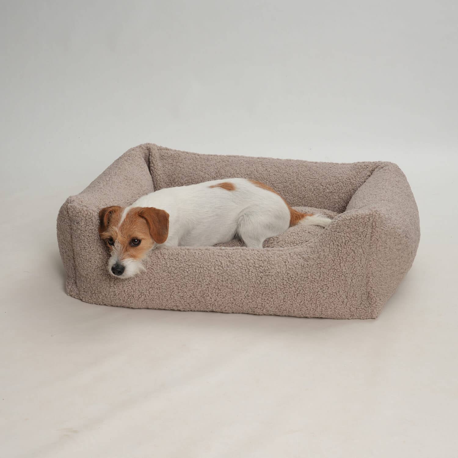 Paddy kutyaágy | Kavészürke