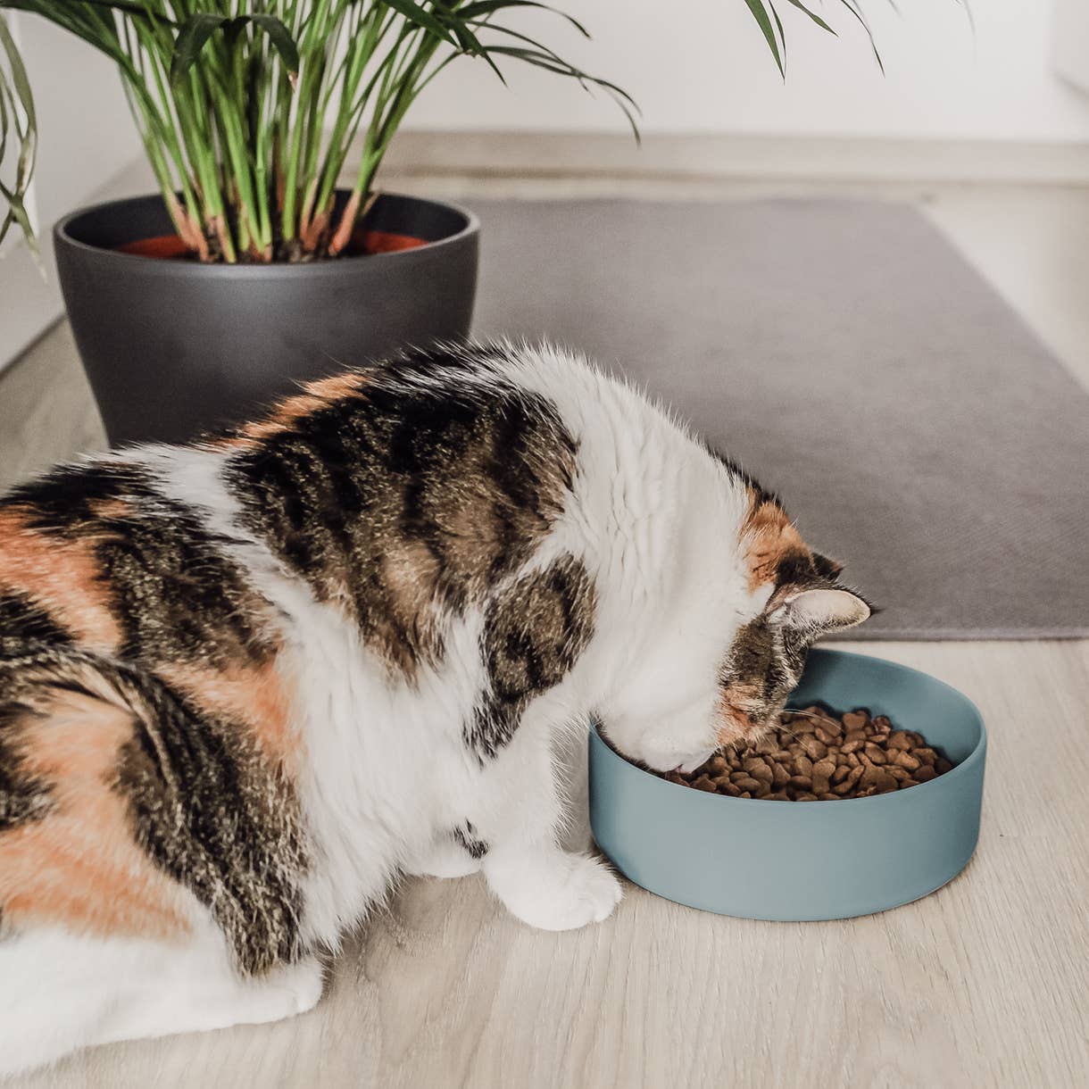 Csúszásmentes szilikon etetőtál kutyáknak és macskáknak