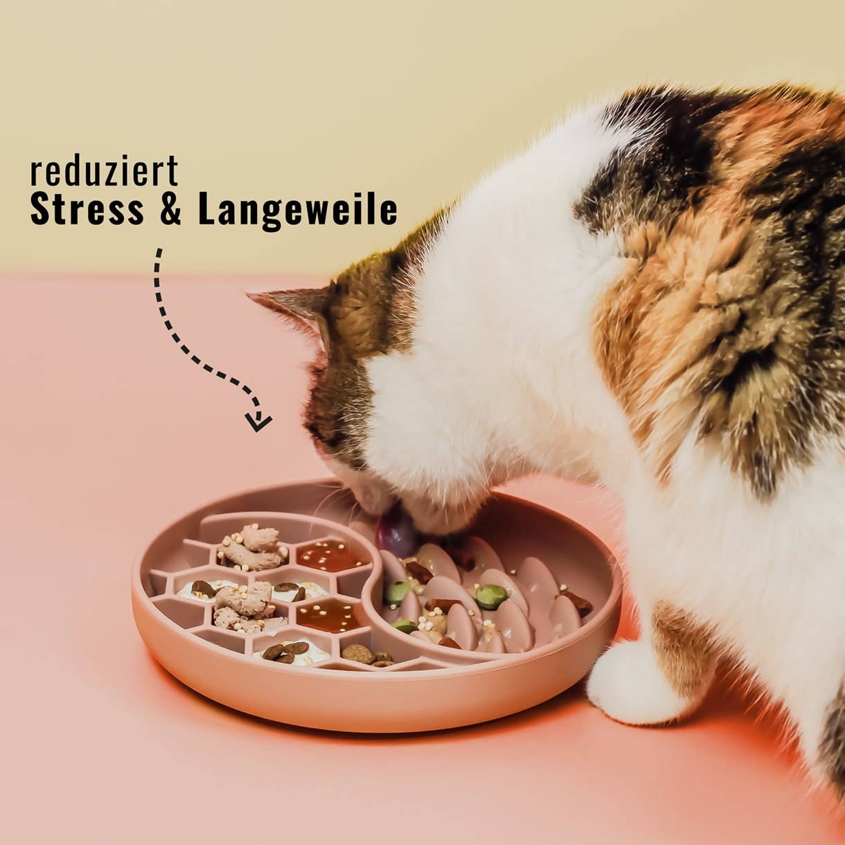 Habzsolásgátló és nyalogató tál