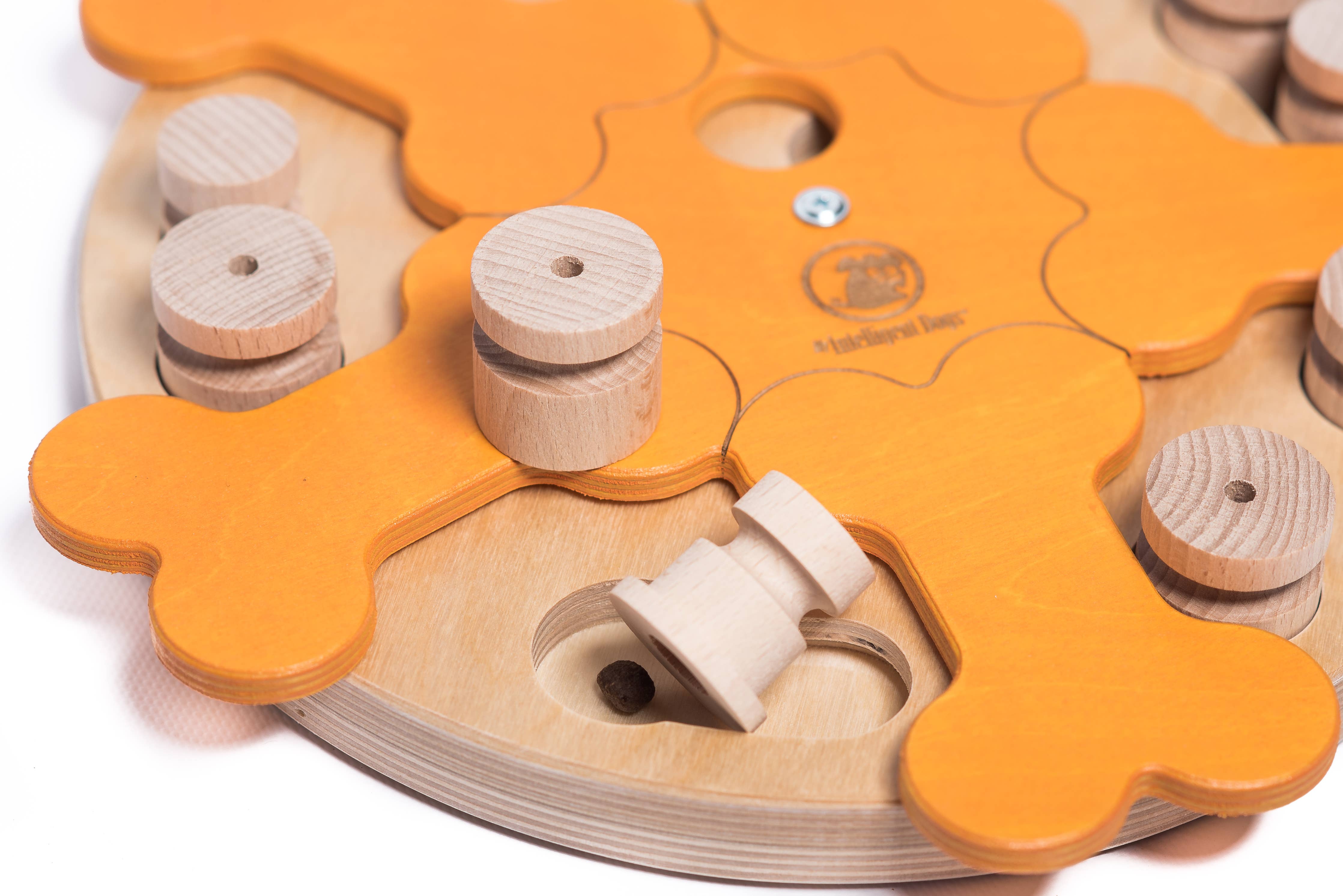 Carousel of Bones – interaktív intelligens játék kutyáknak