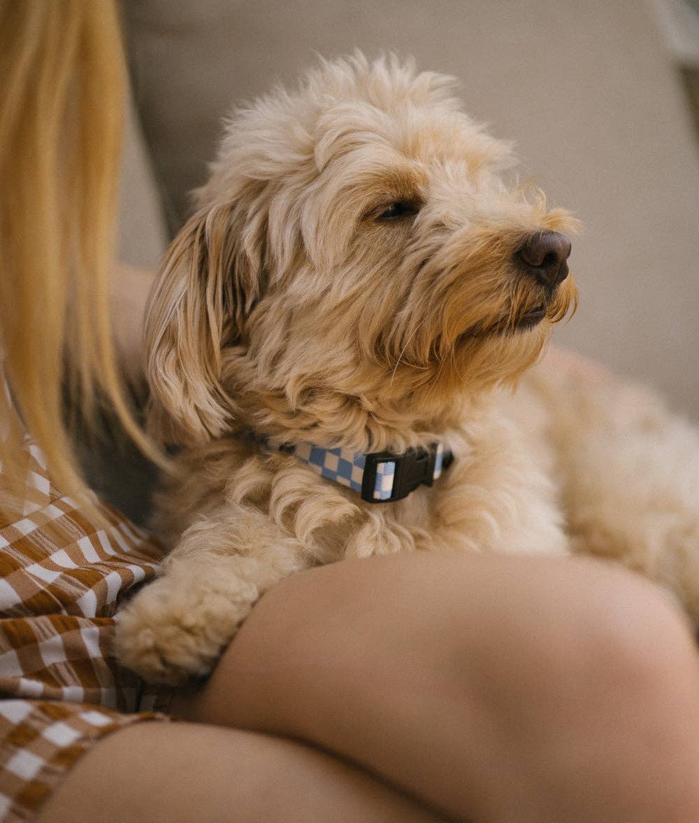 Juno nyakörv | Kék kockás