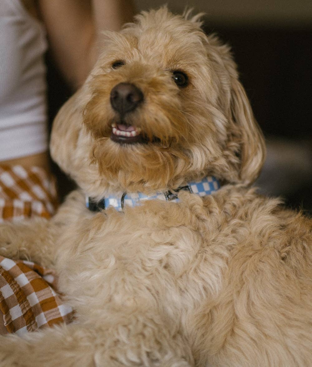 Juno nyakörv | Kék kockás