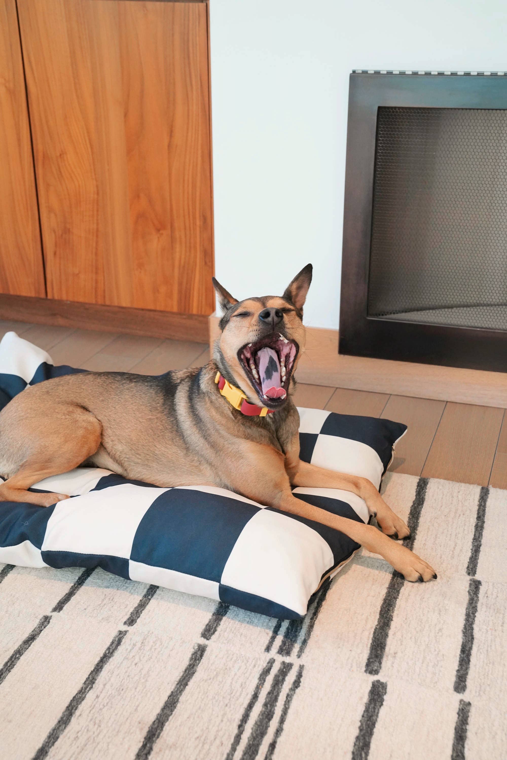 Fritz huzat | Green Checkered