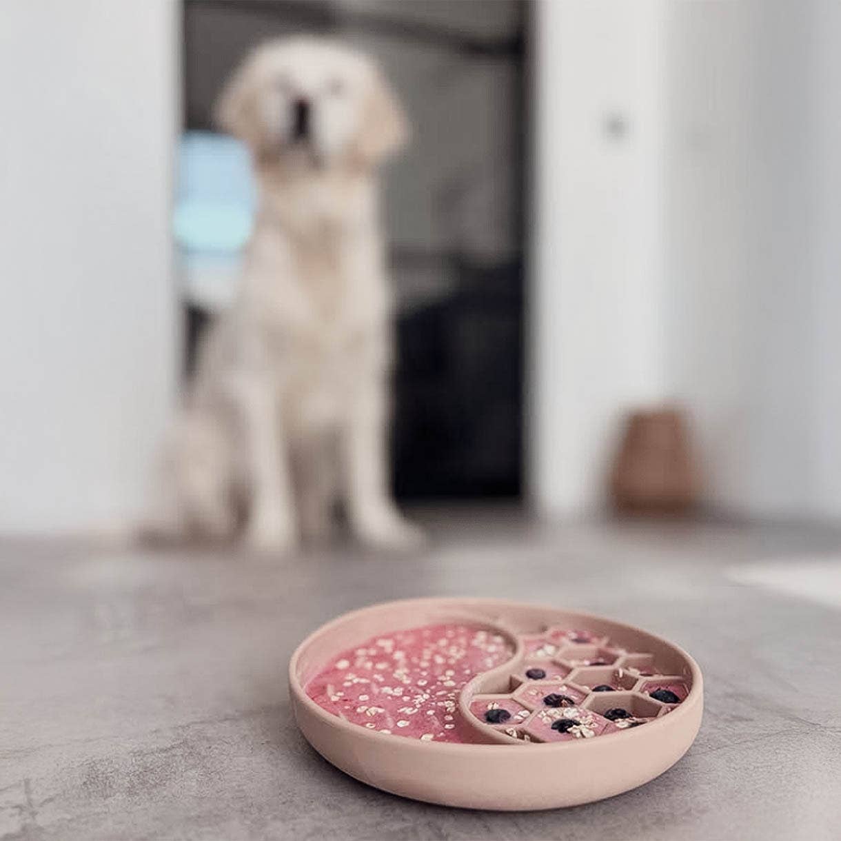 Habzsolásgátló és nyalogató tál