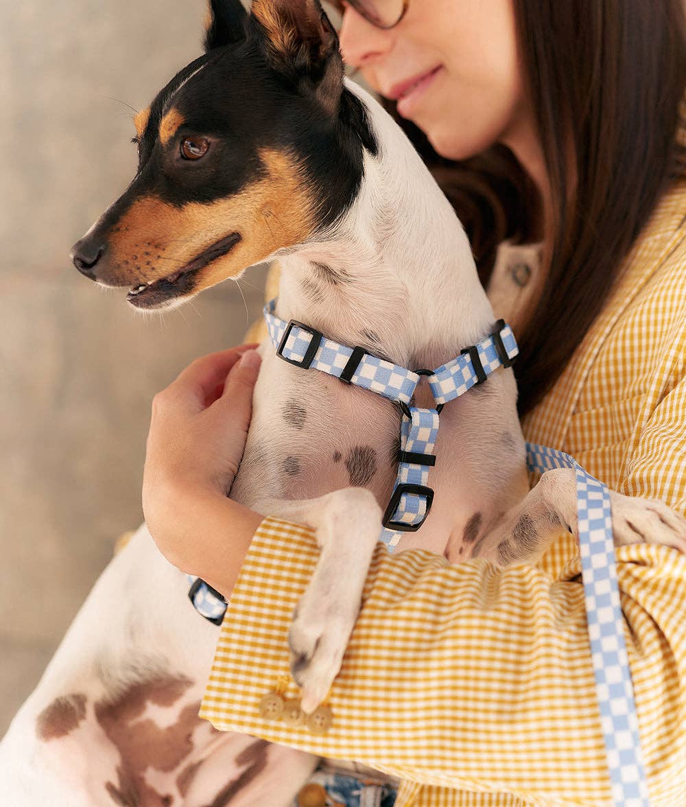 Juno hám | Kék kockás