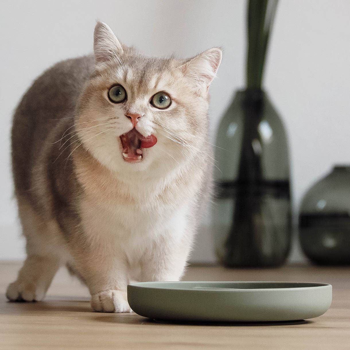 Habzsolásgátló és nyalogató tál