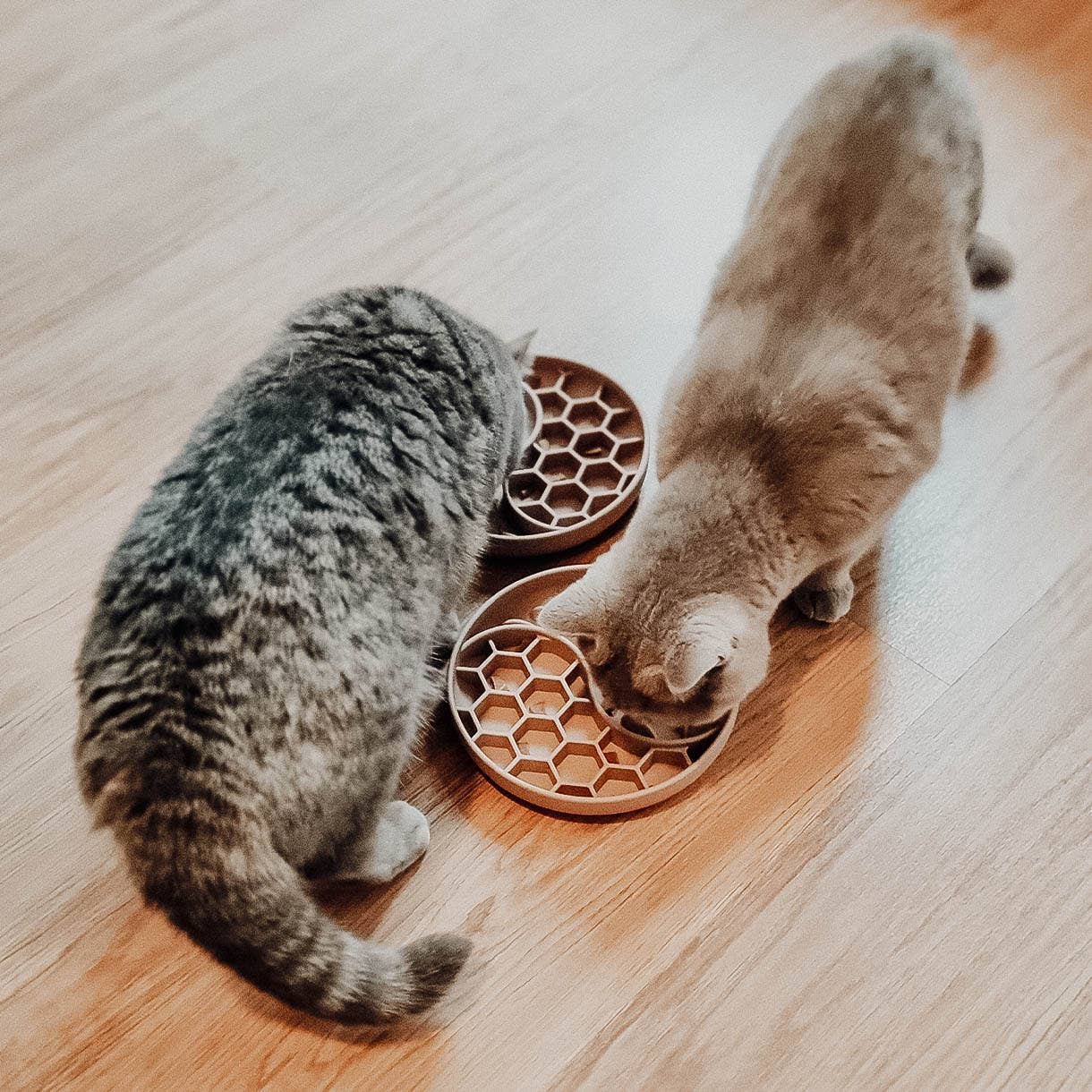 Habzsolásgátló és nyalogató tál