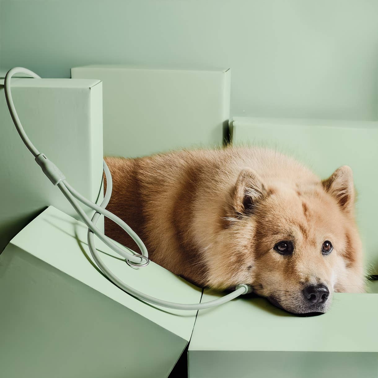 Loft Style vízálló póráz