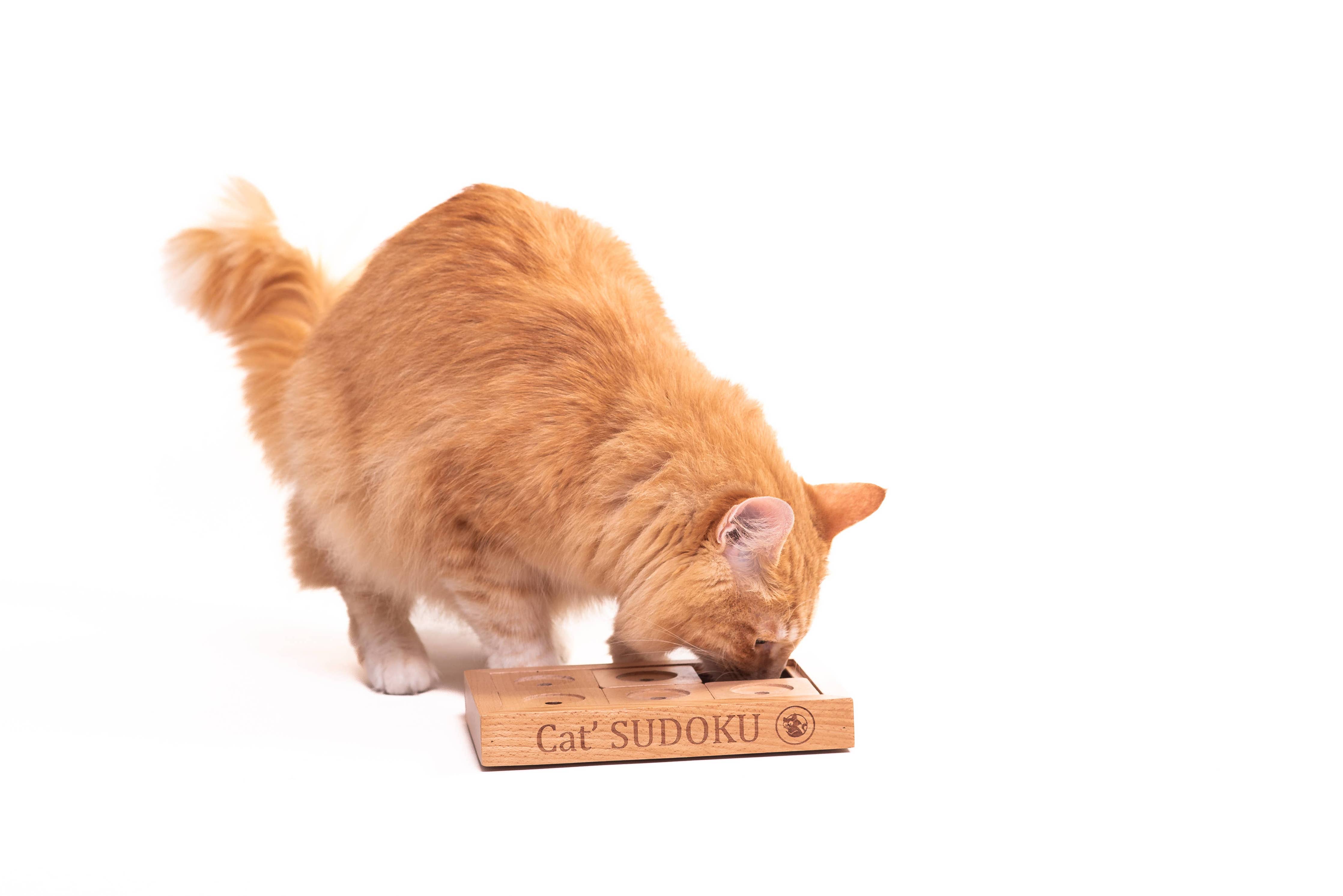 Sudoku Small Advanced – interaktív fa logikai játék kutyáknak és macskáknak