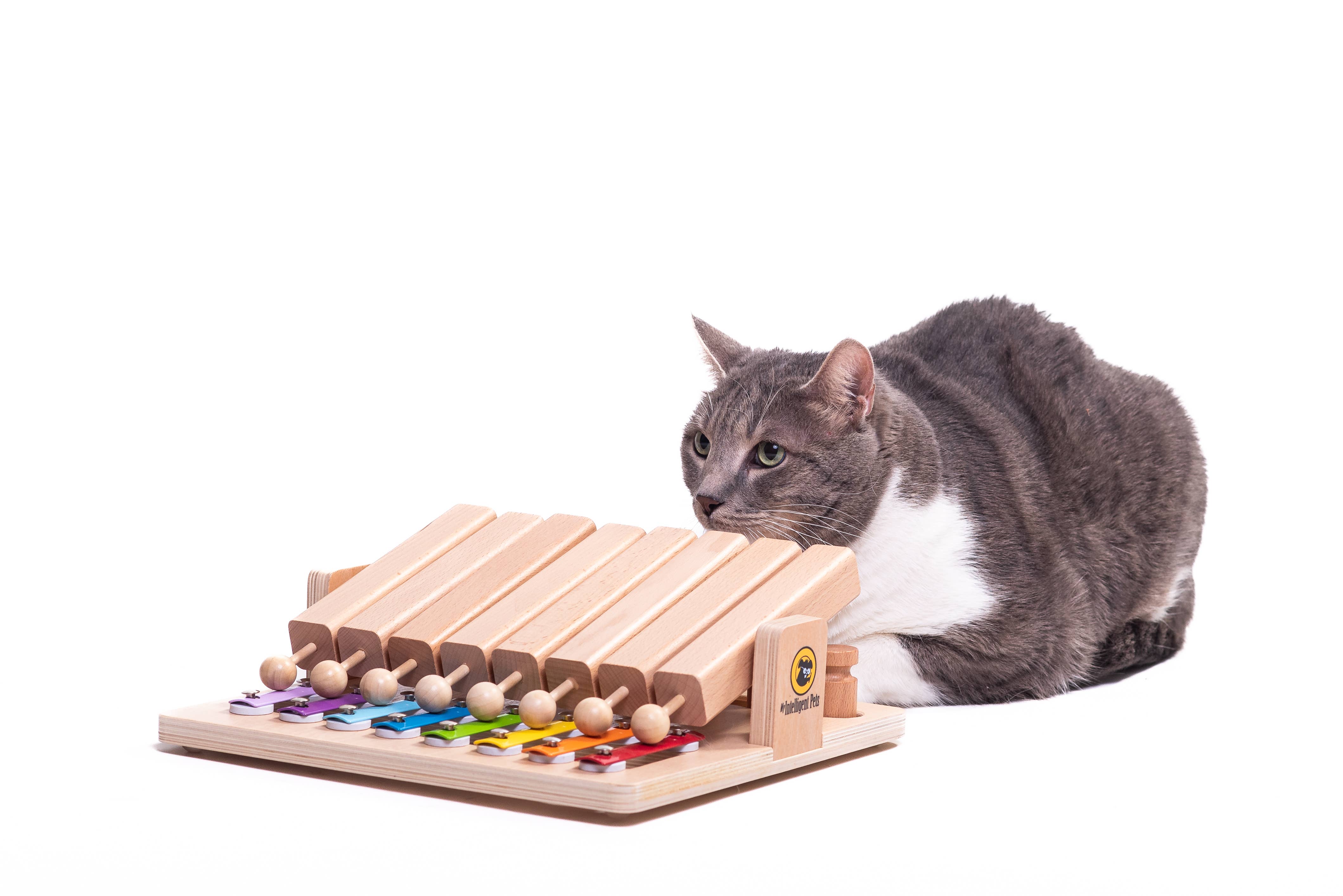 Piano – interaktív fejlesztőjáték kutyáknak és macskáknak