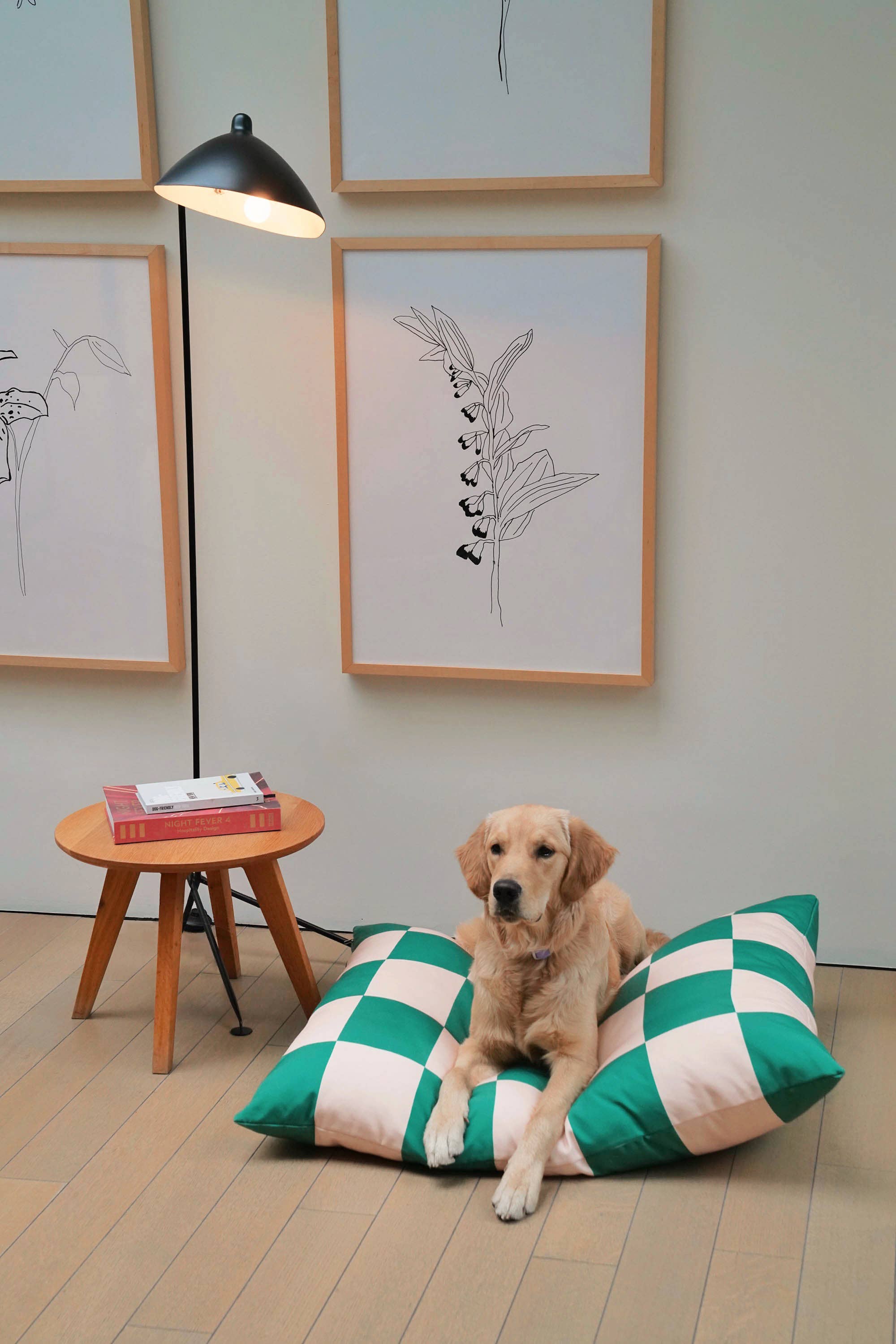 Fritz huzat | Black & White Goalgetter